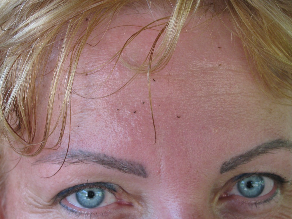 IMG_4156